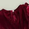 Red Velvet Dress